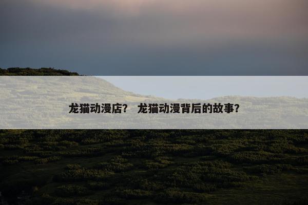 龙猫动漫店？ 龙猫动漫背后的故事？