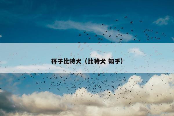 杯子比特犬（比特犬 知乎）