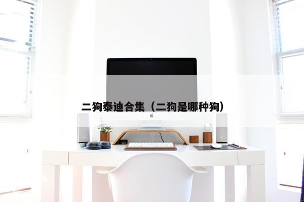 二狗泰迪合集（二狗是哪种狗）