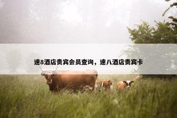 速8酒店贵宾会员查询，速八酒店贵宾卡