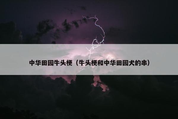 中华田园牛头梗（牛头梗和中华田园犬的串）