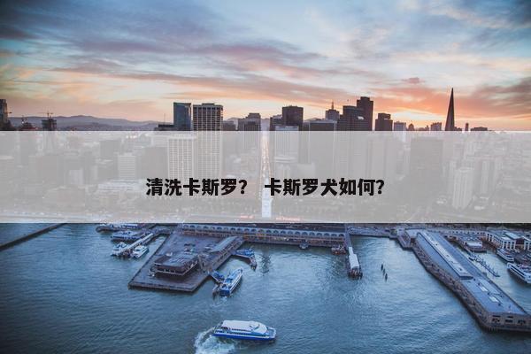 清洗卡斯罗？ 卡斯罗犬如何？