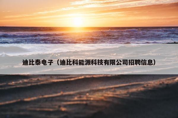 迪比泰电子（迪比科能源科技有限公司招聘信息）