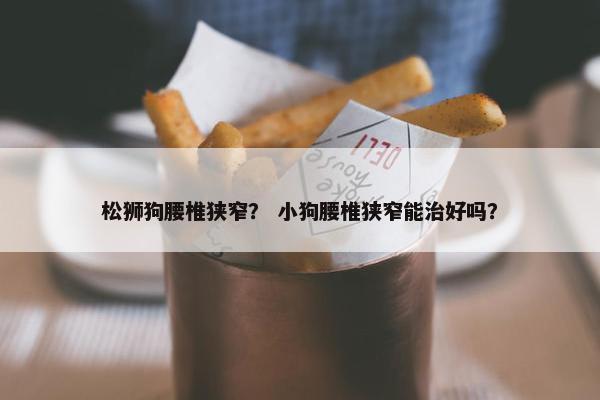 松狮狗腰椎狭窄？ 小狗腰椎狭窄能治好吗？