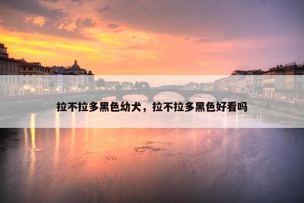 拉不拉多黑色幼犬，拉不拉多黑色好看吗