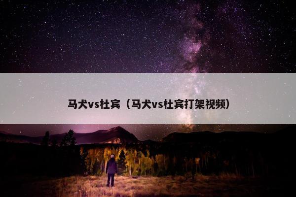 马犬vs杜宾（马犬vs杜宾打架视频）