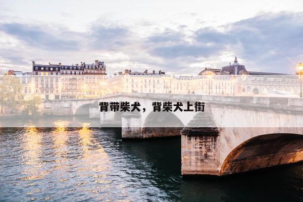 背带柴犬，背柴犬上街