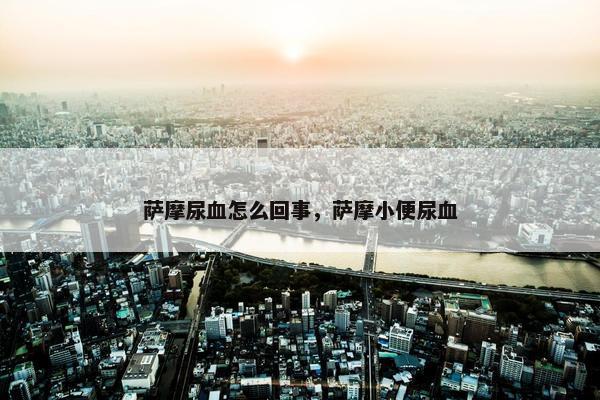 萨摩尿血怎么回事，萨摩小便尿血