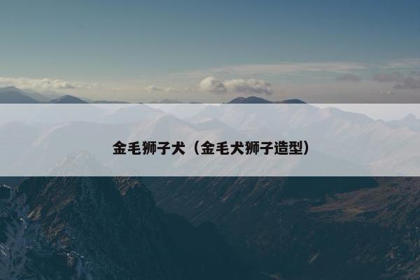 金毛狮子犬（金毛犬狮子造型）