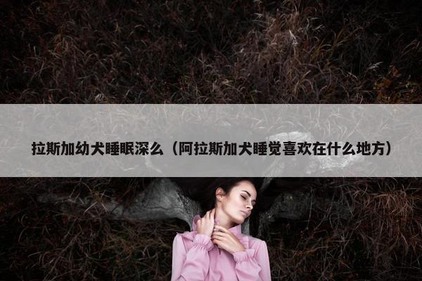 拉斯加幼犬睡眠深么（阿拉斯加犬睡觉喜欢在什么地方）