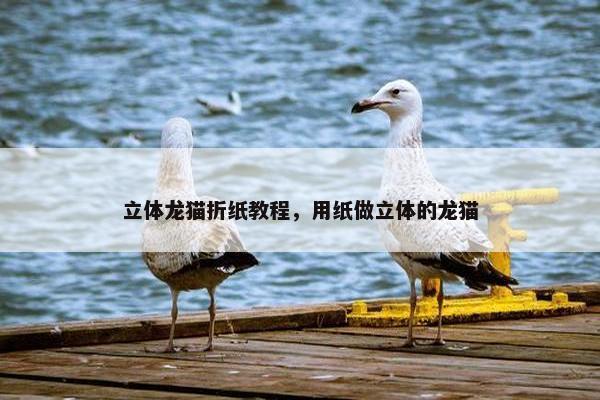 立体龙猫折纸教程，用纸做立体的龙猫