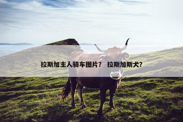 拉斯加主人骑车图片？ 拉斯加斯犬？