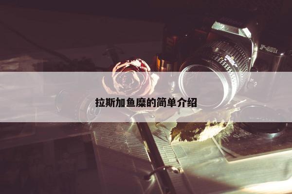 拉斯加鱼糜的简单介绍