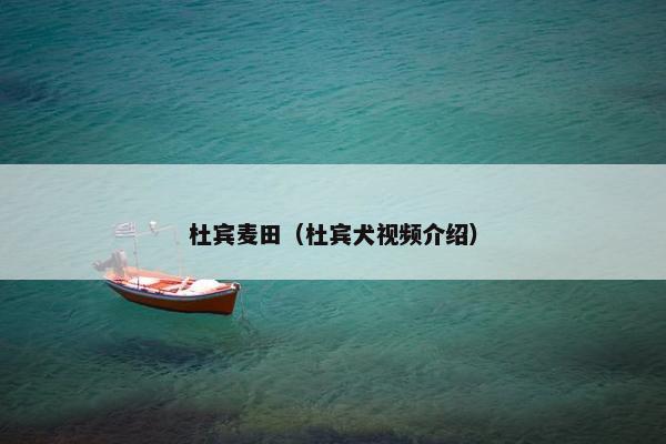 杜宾麦田（杜宾犬视频介绍）