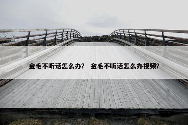 金毛不听话怎么办？ 金毛不听话怎么办视频？