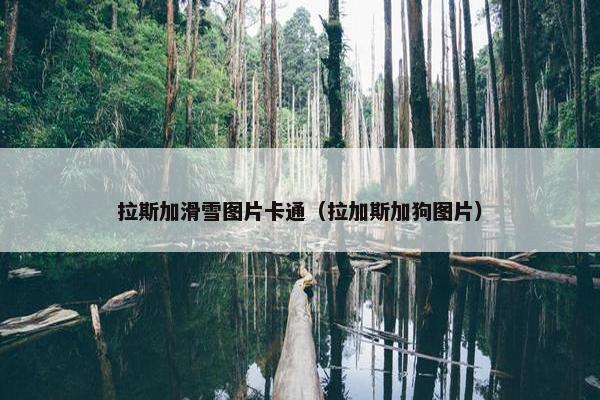 拉斯加滑雪图片卡通（拉加斯加狗图片）