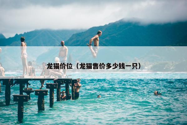 龙猫价位（龙猫售价多少钱一只）