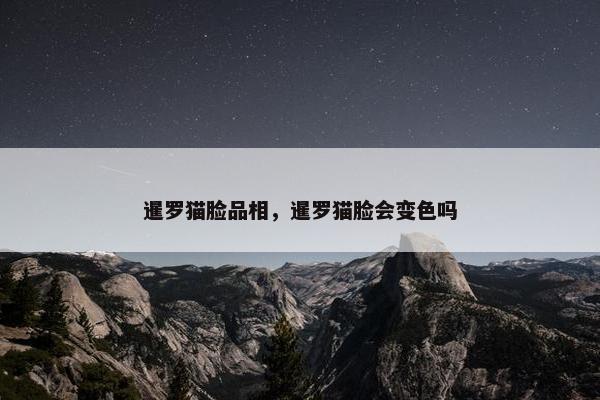 暹罗猫脸品相，暹罗猫脸会变色吗