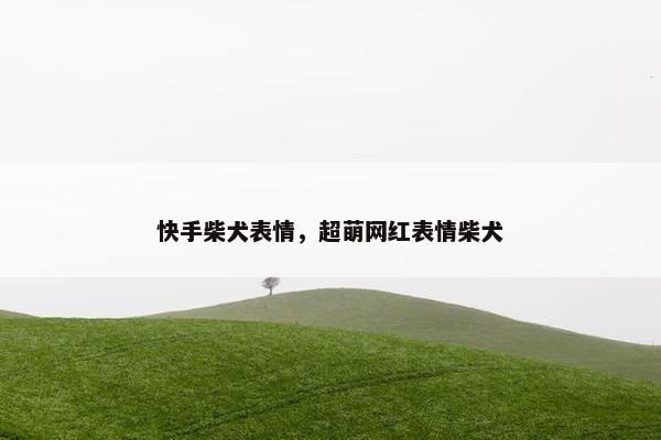 快手柴犬表情，超萌网红表情柴犬