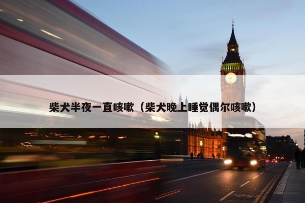 柴犬半夜一直咳嗽（柴犬晚上睡觉偶尔咳嗽）