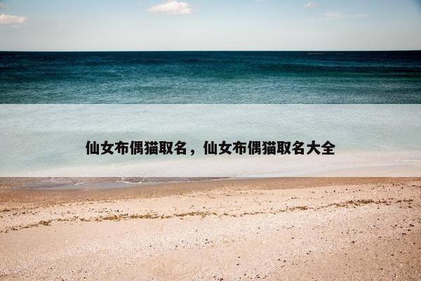 仙女布偶猫取名，仙女布偶猫取名大全