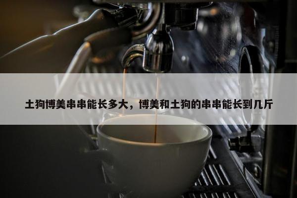 土狗博美串串能长多大，博美和土狗的串串能长到几斤