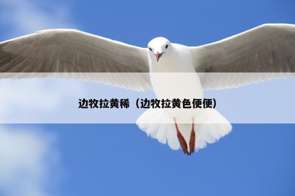 边牧拉黄稀（边牧拉黄色便便）
