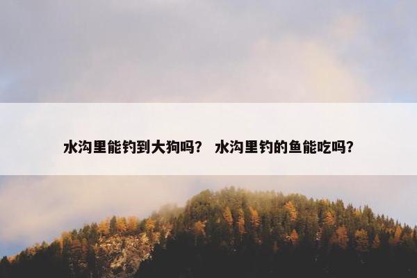 水沟里能钓到大狗吗？ 水沟里钓的鱼能吃吗？