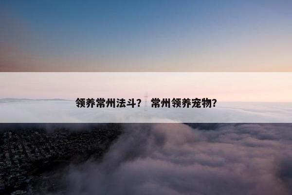 领养常州法斗？ 常州领养宠物？
