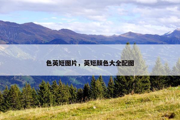 色英短图片，英短颜色大全配图