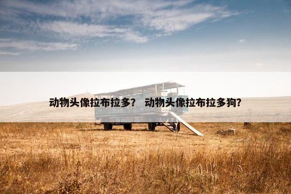 动物头像拉布拉多？ 动物头像拉布拉多狗？