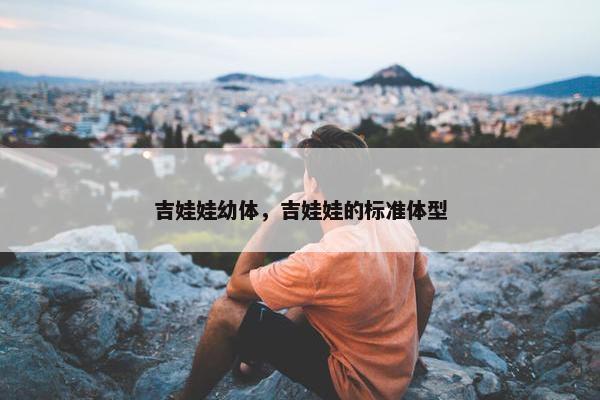 吉娃娃幼体，吉娃娃的标准体型