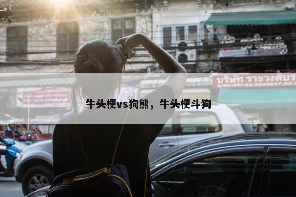 牛头梗vs狗熊，牛头梗斗狗