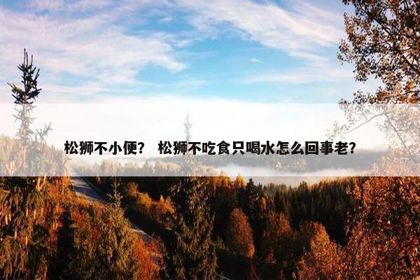 松狮不小便？ 松狮不吃食只喝水怎么回事老？