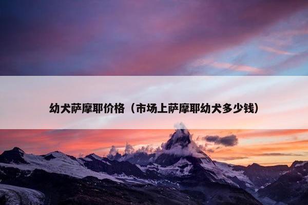 幼犬萨摩耶价格（市场上萨摩耶幼犬多少钱）