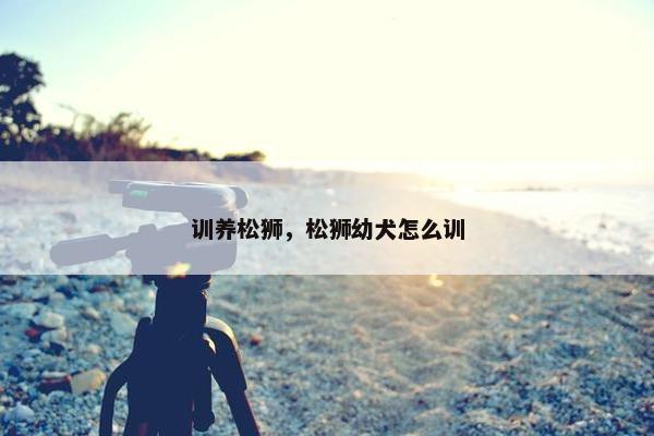 训养松狮，松狮幼犬怎么训