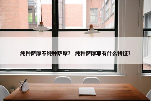 纯种萨摩不纯种萨摩？ 纯种萨摩耶有什么特征？