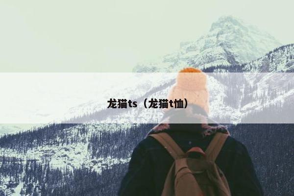 龙猫ts（龙猫t恤）