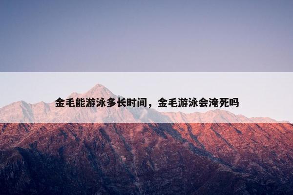 金毛能游泳多长时间，金毛游泳会淹死吗