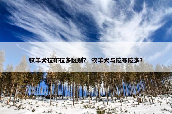 牧羊犬拉布拉多区别？ 牧羊犬与拉布拉多？