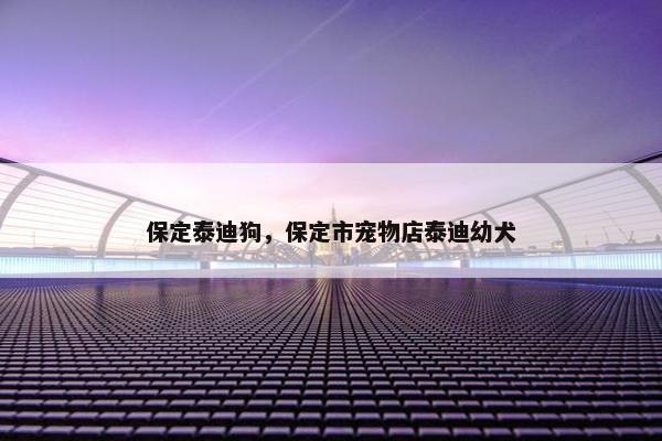 保定泰迪狗，保定市宠物店泰迪幼犬
