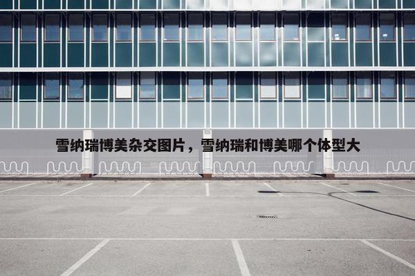 雪纳瑞博美杂交图片，雪纳瑞和博美哪个体型大