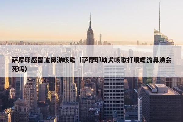 萨摩耶感冒流鼻涕咳嗽（萨摩耶幼犬咳嗽打喷嚏流鼻涕会死吗）