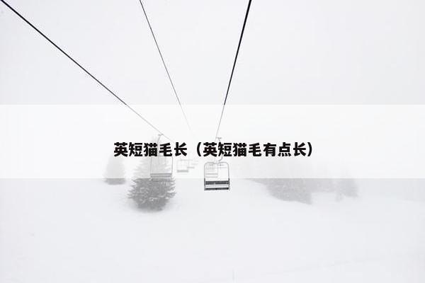 英短猫毛长（英短猫毛有点长）
