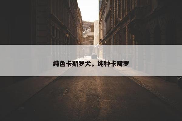 纯色卡斯罗犬，纯种卡斯罗