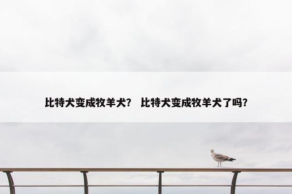 比特犬变成牧羊犬？ 比特犬变成牧羊犬了吗？