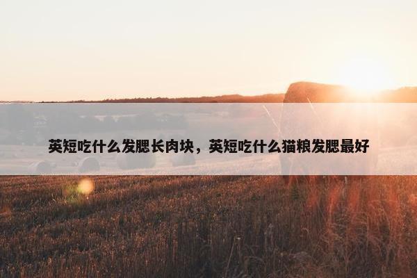 英短吃什么发腮长肉块，英短吃什么猫粮发腮最好