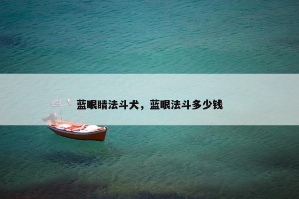 蓝眼睛法斗犬，蓝眼法斗多少钱