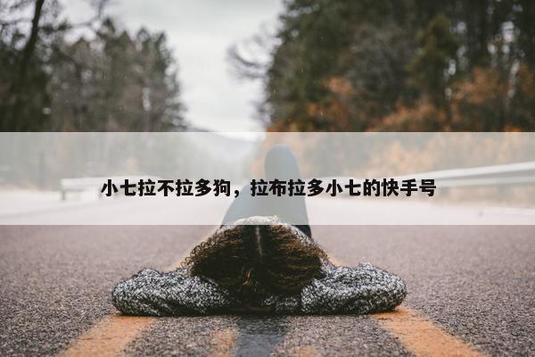 小七拉不拉多狗，拉布拉多小七的快手号