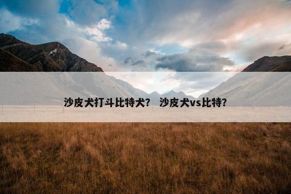 沙皮犬打斗比特犬？ 沙皮犬vs比特？